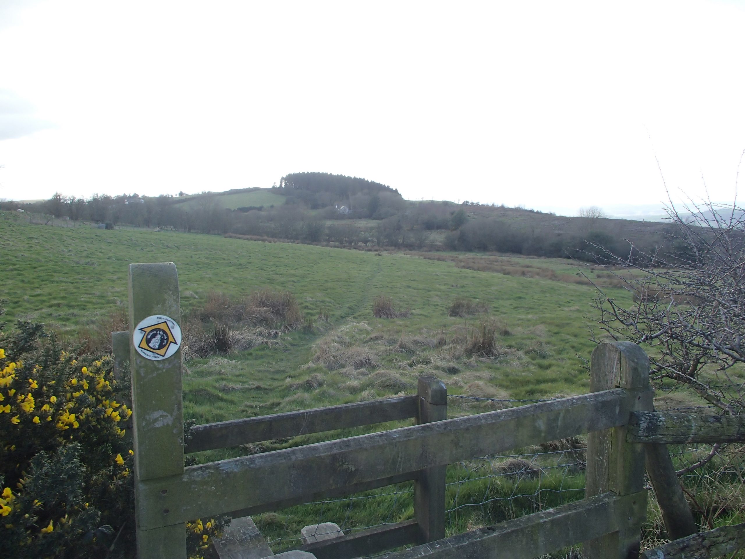 Long Weekend – March 2017